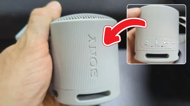 Sony SRS-XB100