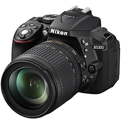 Spiegelreflexkamera Vergleich Nikon